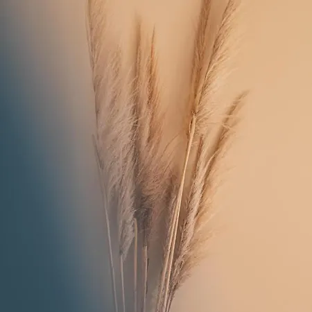 Pensjonat Plaza Di Garda Peschiera del Garda